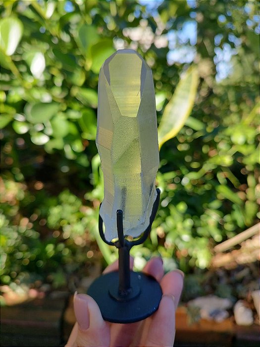 Mestre Lemuriano com base