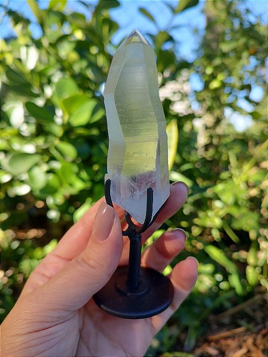 Mestre Lemuriano com base