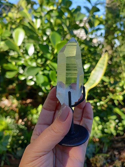 Mestre Lemuriano com base