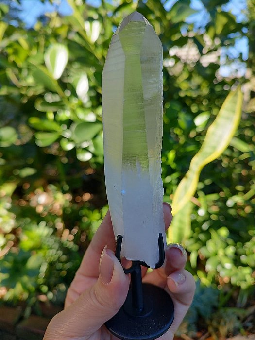 Mestre Lemuriano com base