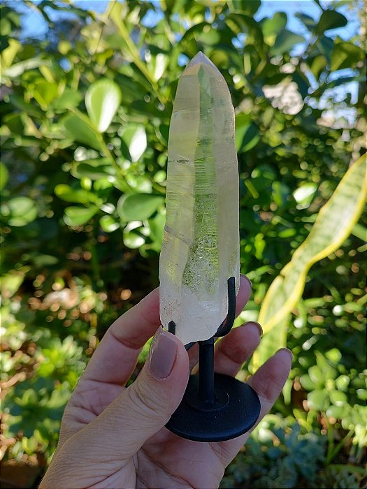 Mestre Lemuriano com base