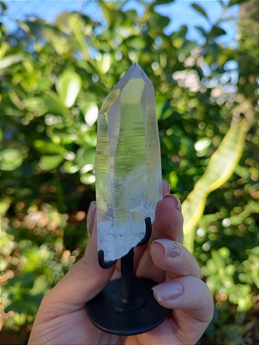 Mestre Lemuriano com base