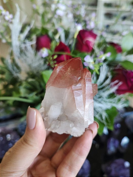 Drusa Lemuriana Rosa com Elo do Tempo Futuro