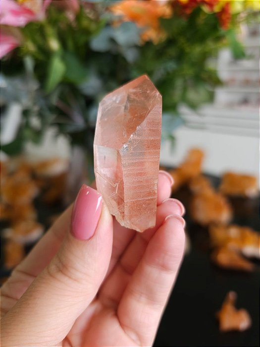 Mestre Lemuriano Rosa