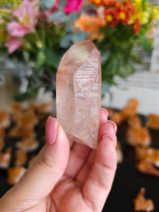 Mestre Lemuriano Rosa