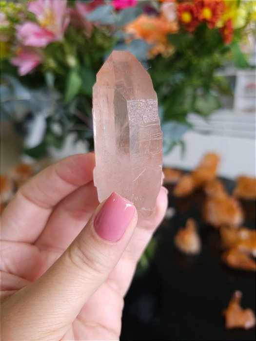 Mestre Lemuriano Rosa