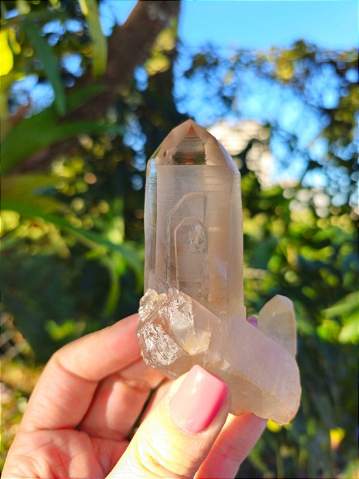 Ponta Fumê Lemuriano