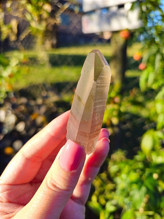 Ponta Fumê Lemuriano