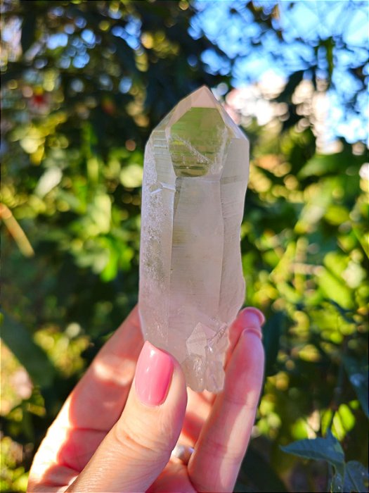 Ponta Fumê Lemuriano