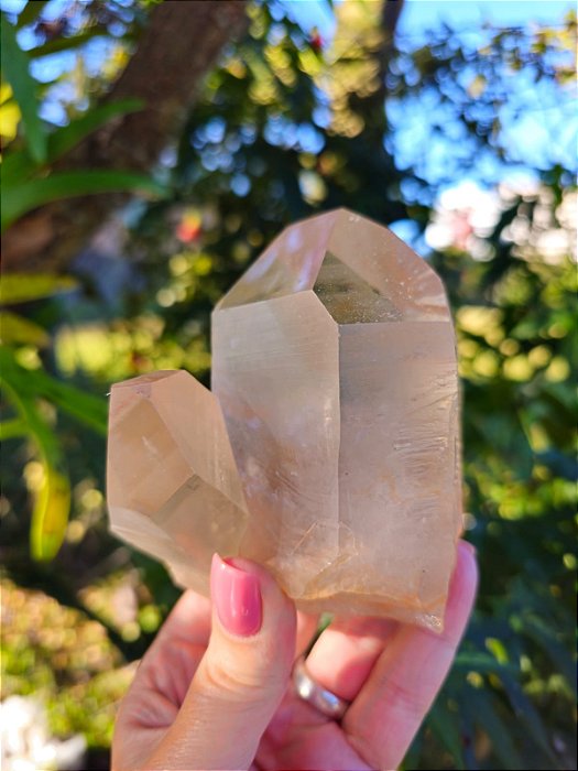 Ponta Fumê Lemuriano