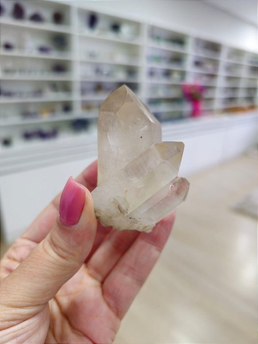 Ponta Fumê Lemuriano Autocurado