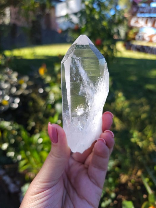 Lemuriano Autocurado na Lateral