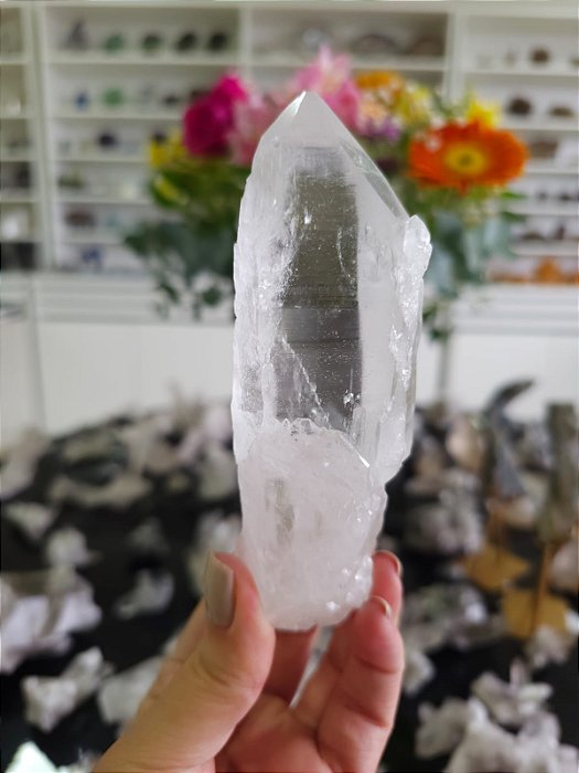 Lemuriano Autocurado Phantom