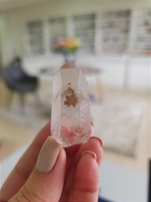 Mestre Phantom Lemuriano