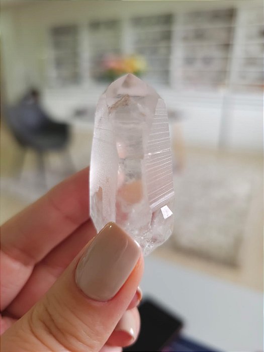 Mestre Phantom Lemuriano