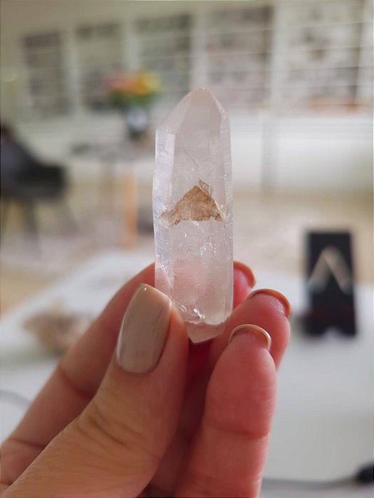 Mestre Phantom Lemuriano