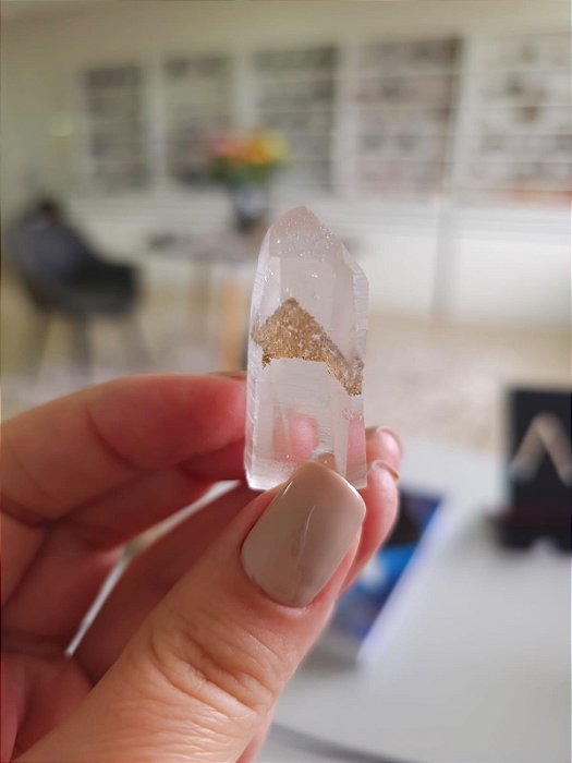 Mestre Phantom Lemuriano