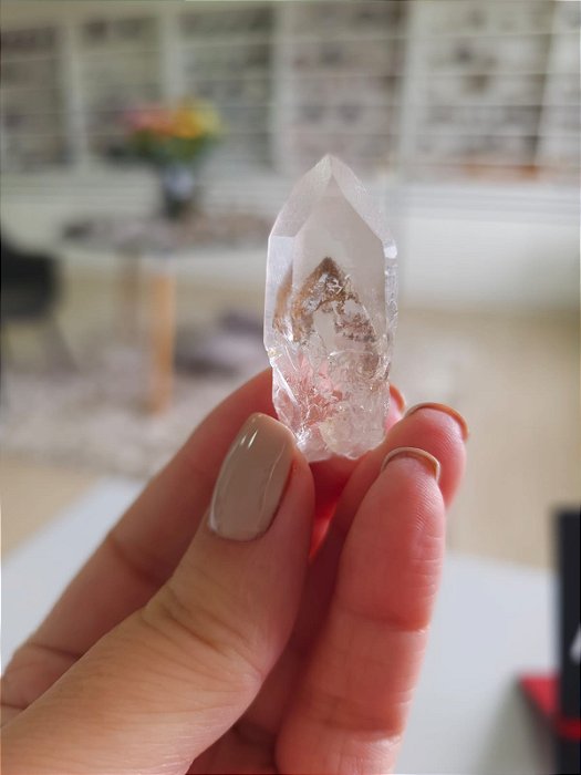 Mestre Phantom Lemuriano