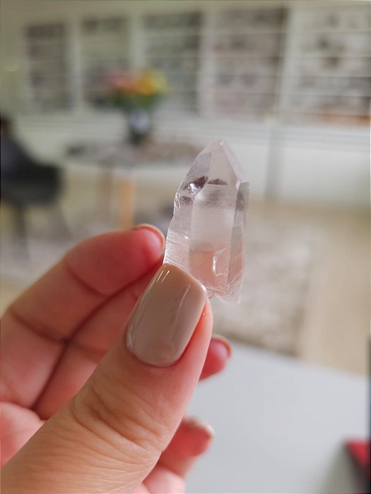 Mestre Phantom Lemuriano