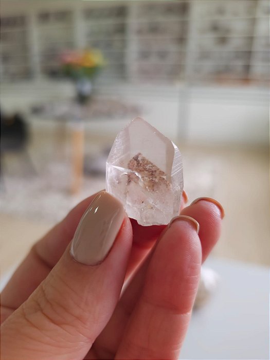 Mestre Phantom Lemuriano