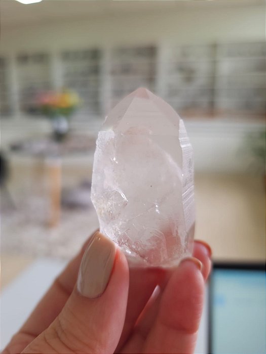 Mestre Phantom Lemuriano