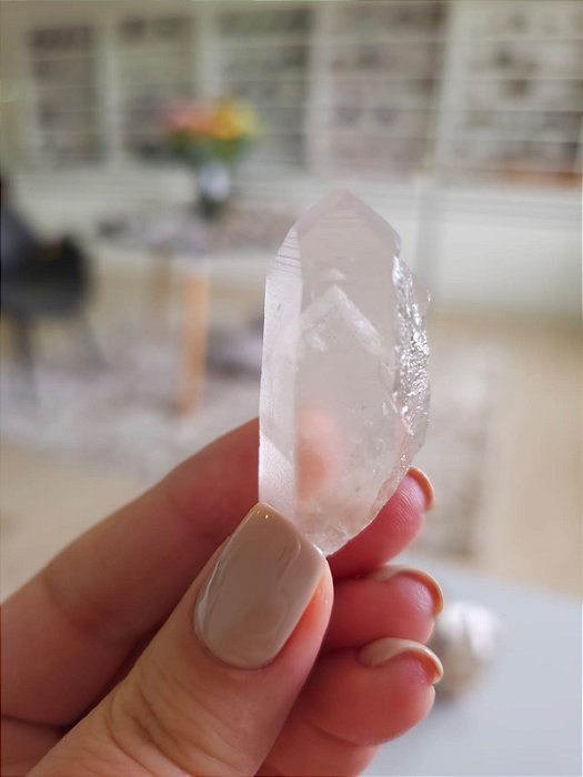 Mestre Phantom Lemuriano