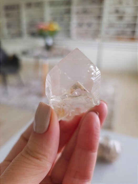 Mestre Phantom Lemuriano