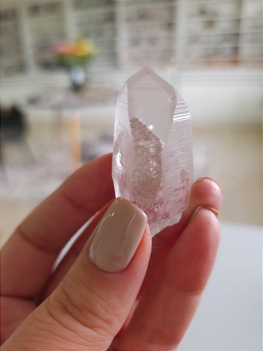 Mestre Phantom Lemuriano