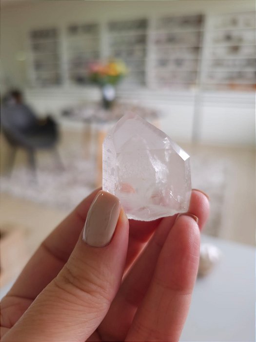 Mestre Phantom Lemuriano