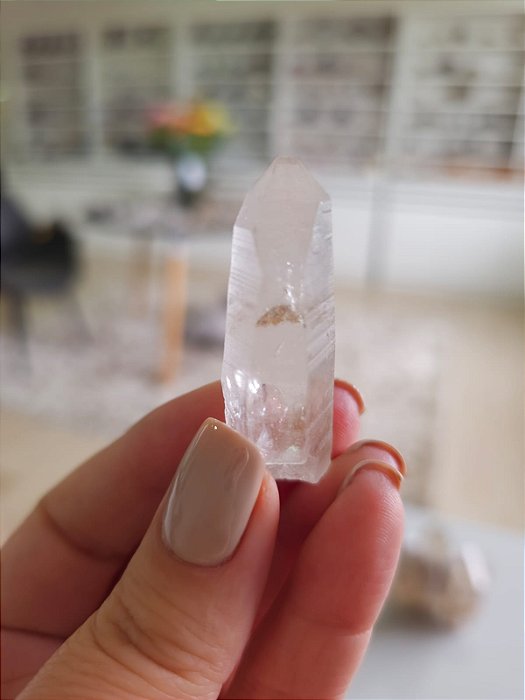 Mestre Phantom Lemuriano