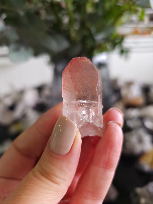 Ponta Pink com Marcações Lemurianas