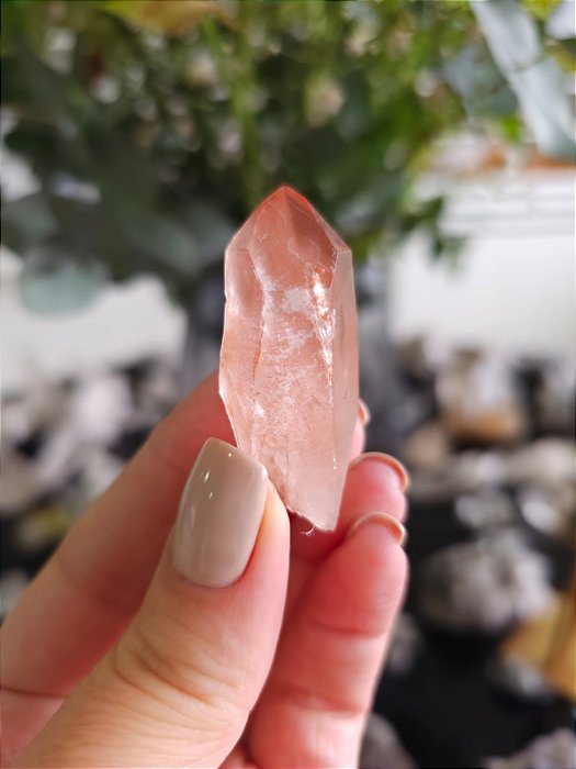 Ponta Pink com Marcações Lemurianas