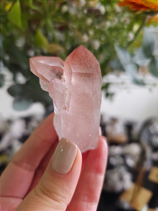 Ponta Pink com Marcações Lemurianas