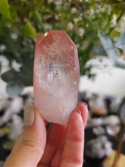 Ponta Pink com Marcações Lemurianas
