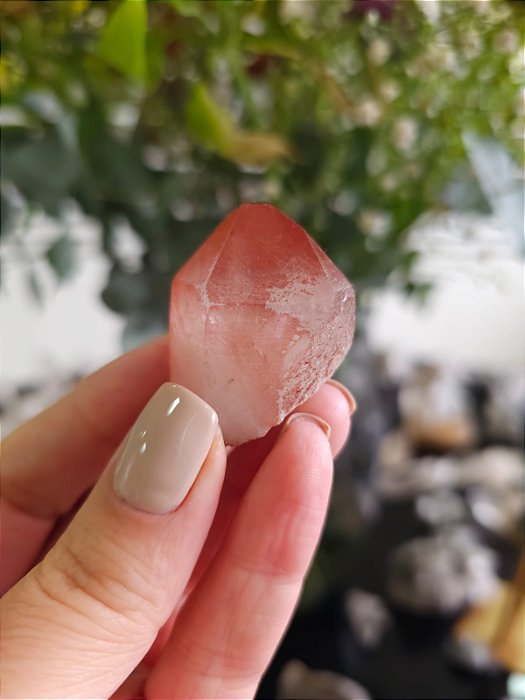 Ponta Pink Autocurado