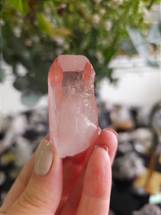 Ponta Pink com Marcações Lemurianas