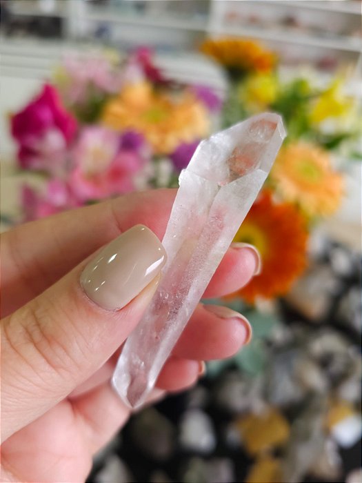 Mestre Laser Biterminado