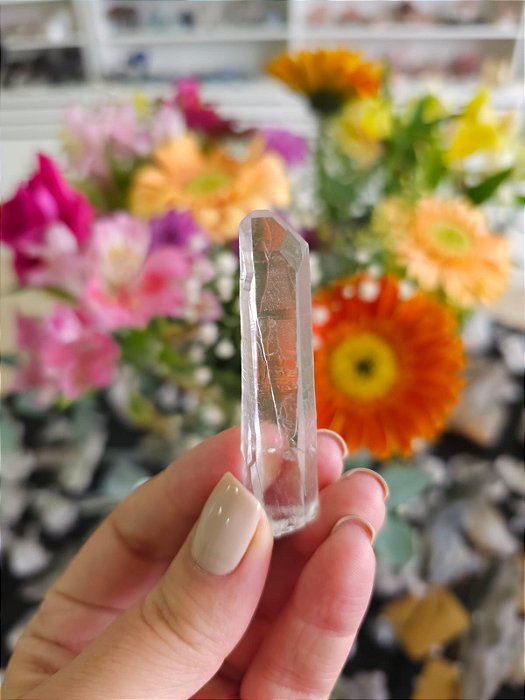 Mestre Laser Janela da Alma