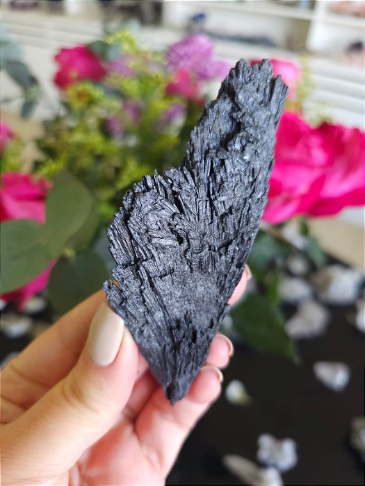 Cianita Negra - Vassoura de Bruxa