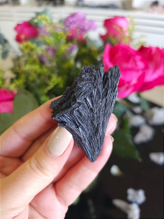 Cianita Negra - Vassoura de Bruxa