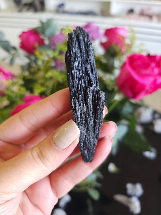 Cianita Negra - Vassoura de Bruxa