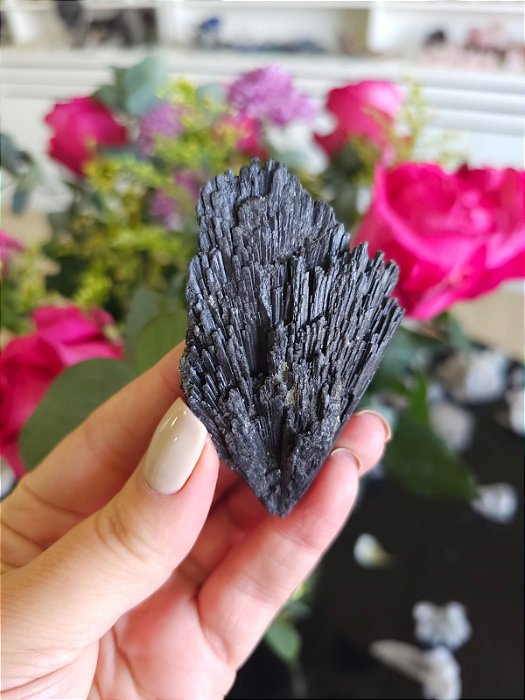 Cianita Negra - Vassoura de Bruxa