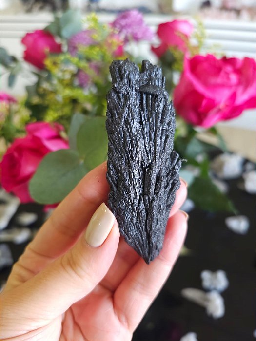 Cianita Negra - Vassoura de Bruxa