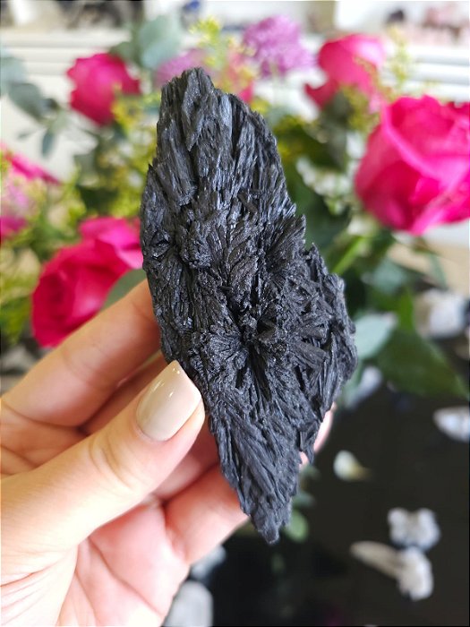 Cianita Negra - Vassoura de Bruxa