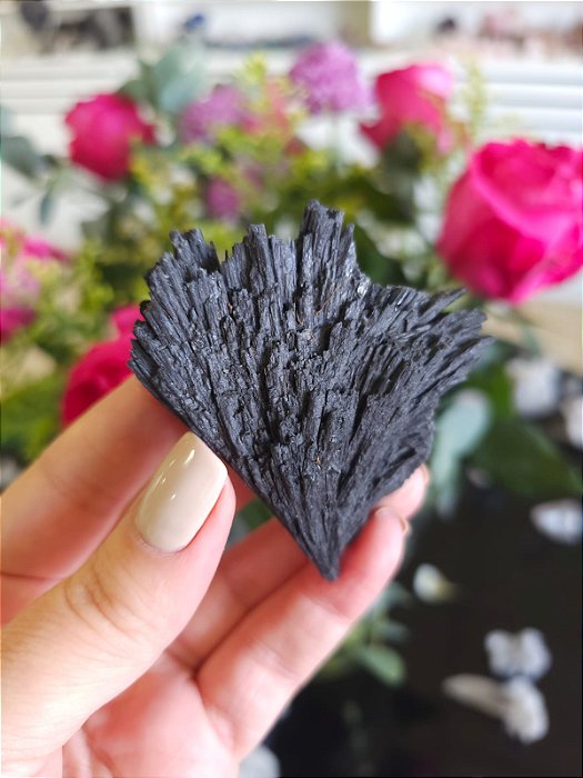 Cianita Negra - Vassoura de Bruxa