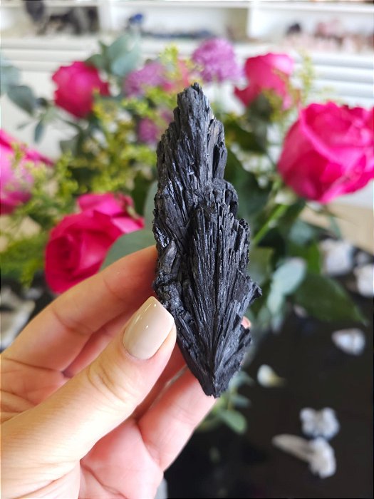 Cianita Negra - Vassoura de Bruxa