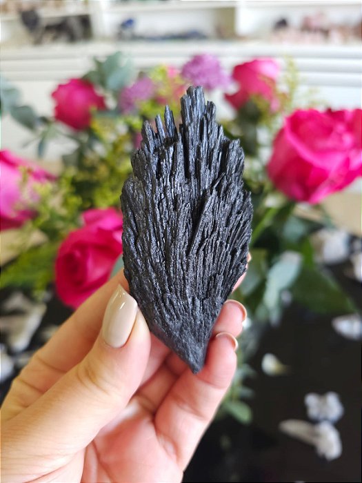 Cianita Negra - Vassoura de Bruxa