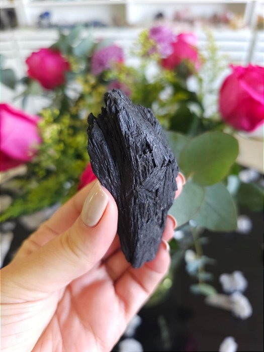 Cianita Negra - Vassoura de Bruxa