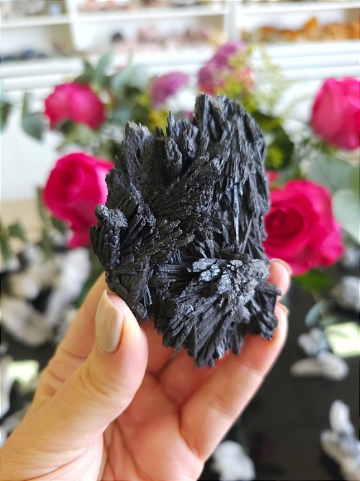 Cianita Negra - Vassoura de Bruxa