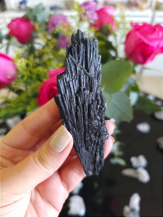 Cianita Negra - Vassoura de Bruxa